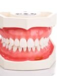 The Best Practices for Keeping Your Gums Healthy